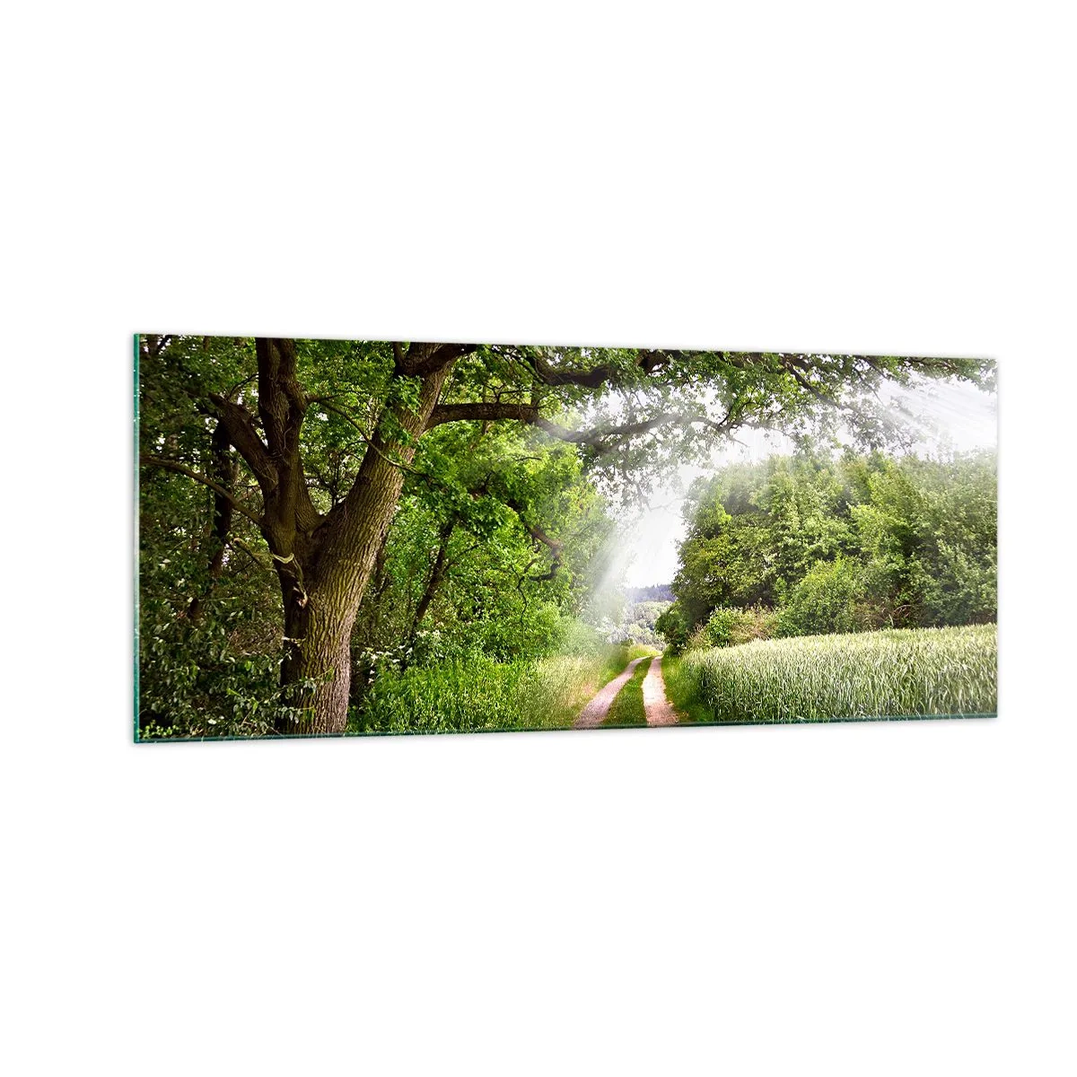 Cuadro sobre vidrio - Impresiones sobre Vidrio - Ensueño - 100x40 cm
