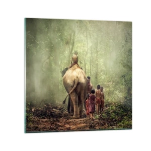 Cuadro sobre vidrio - Impresiones sobre Vidrio - El nuevo libro de la selva - 60x60 cm