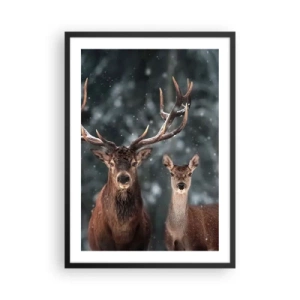 Póster en marco negro - Una pareja de ciervos con el telón de fondo de un bosque invernal. - 50x70cm - El señor y la señora del bosque - Decoración de pared moderna para salón y dormitorio ARTTOR