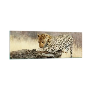 Cuadro sobre vidrio - Impresiones sobre Vidrio - Voy por mi cuenta - 90x30 cm