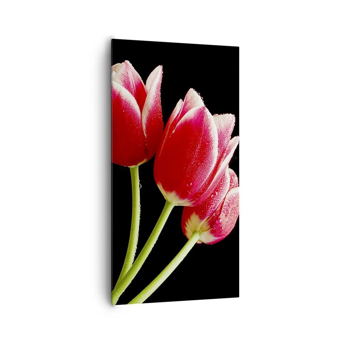 Cuadro sobre lienzo - Impresión de Imagen - Promesa de amor puro - 65x120 cm