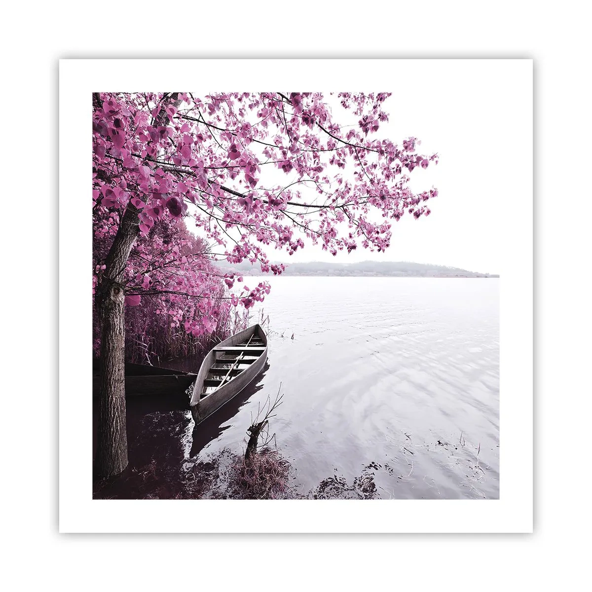 Póster - En el silencio rosa - 50x50 cm