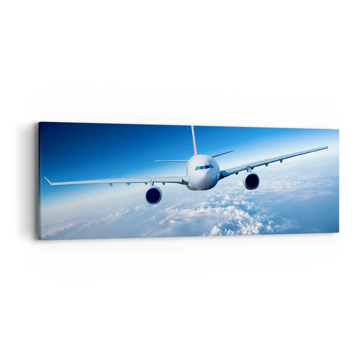 Cuadro sobre lienzo - Impresión de Imagen - Vuelo porque quiero - 90x30 cm