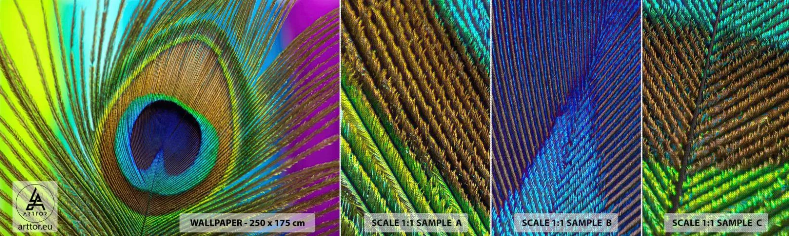 Muestra de fotomural Premium Canvas - Cara a cara - Abstracción, Pluma de pavo real, Pedazo - 100x30 cm