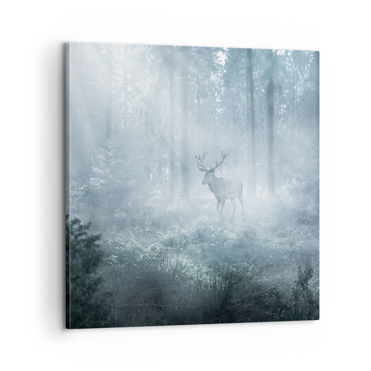 Cuadro sobre lienzo - Impresión de Imagen - Ronda matutina por la finca - 60x60 cm