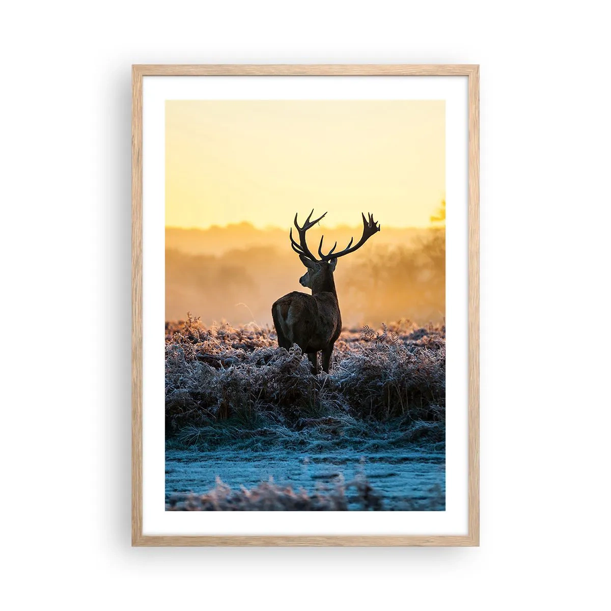 Póster en marco roble claro - Coronado en sus propios dominios - 50x70 cm