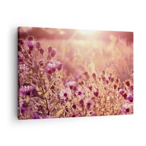 Cuadro sobre lienzo - Impresión de Imagen - Pradera a la luz del sol poniente - 70x50cm - Antes de que se acabe el verano - Decoración de pared moderna para salón y dormitorio ARTTOR