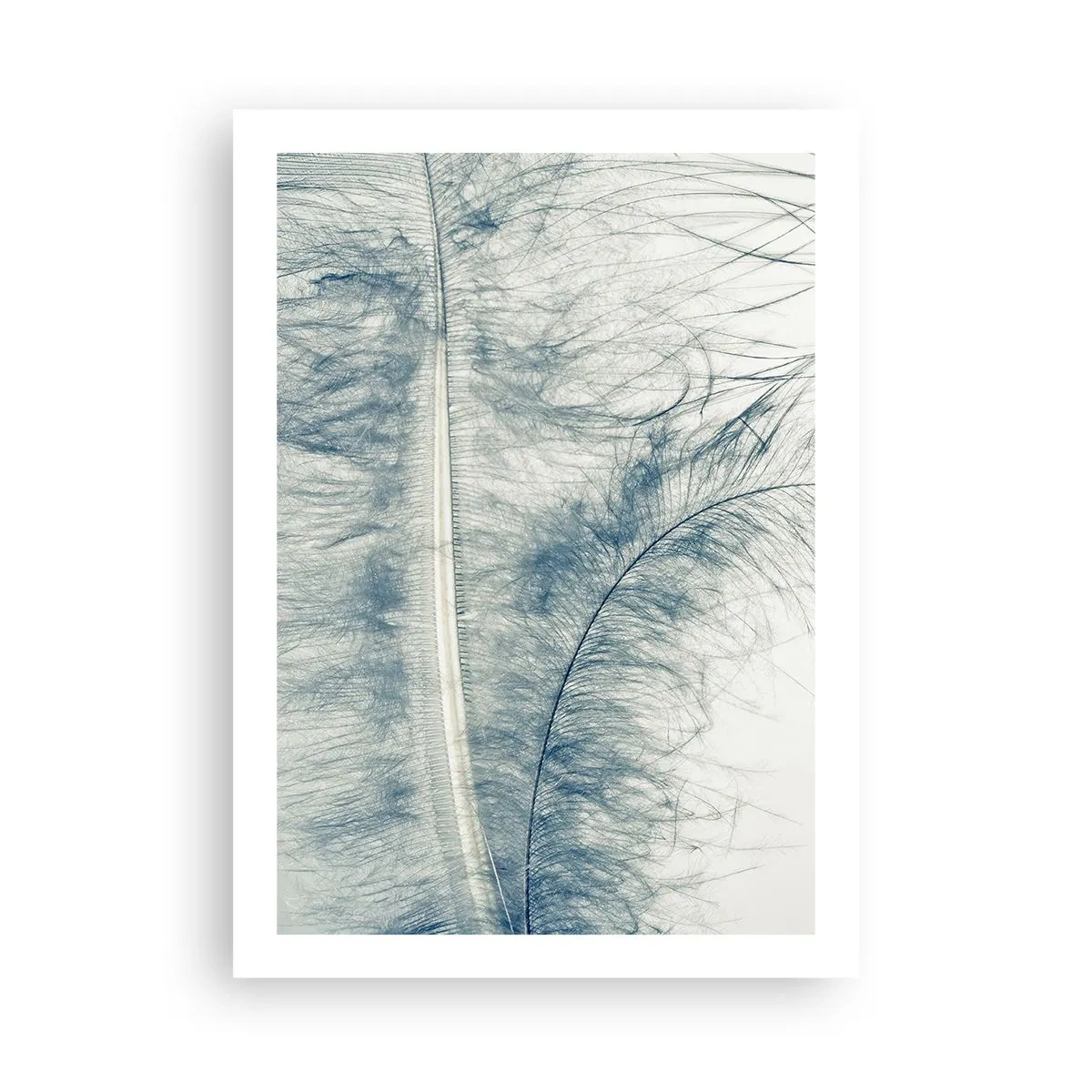 Póster - Una delicada pluma en sutiles tonos de azul. - 50x70cm - Susurro de la naturaleza - Decoración de pared moderna para salón y dormitorio ARTTOR
