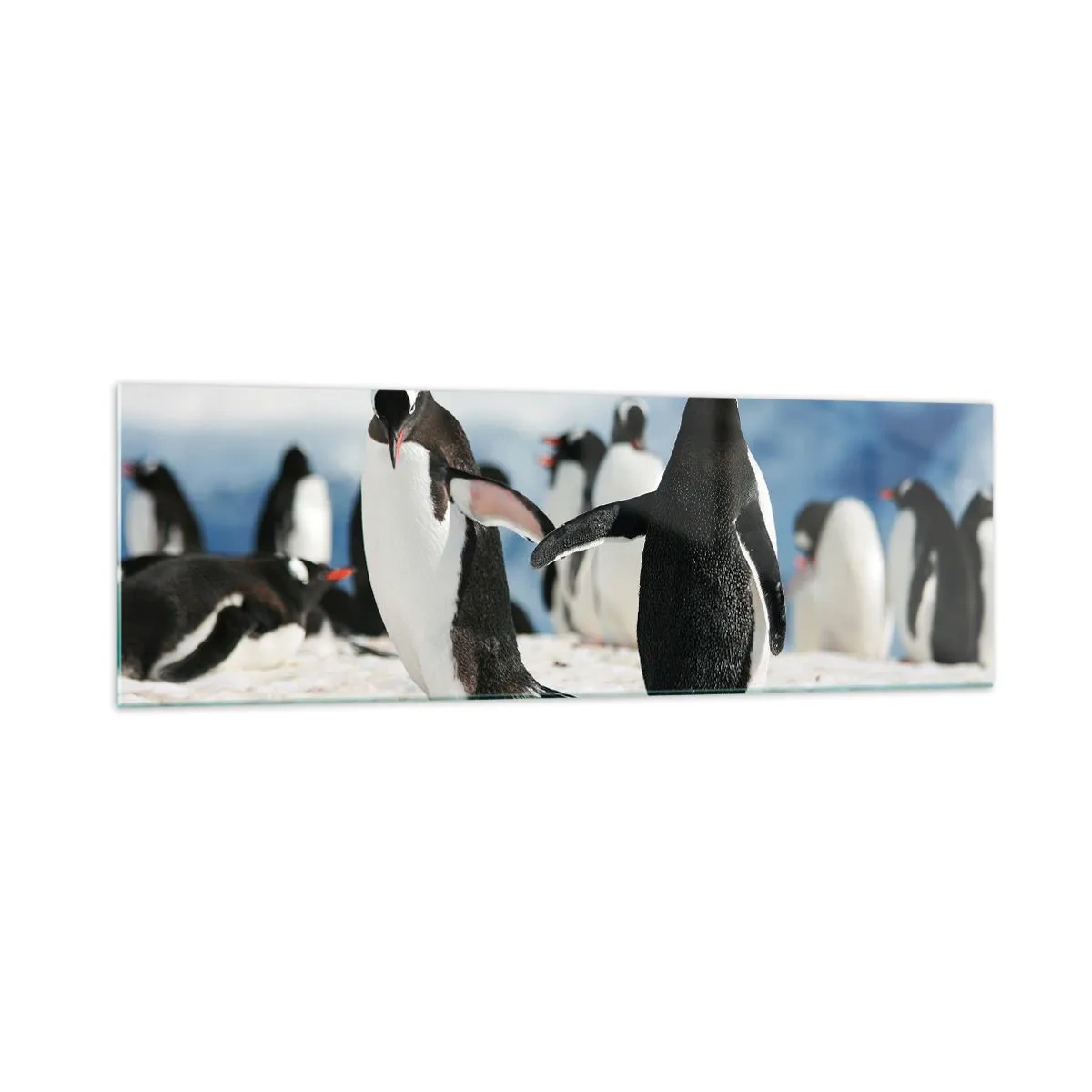 Cuadro sobre vidrio - Impresiones sobre Vidrio - Un grupo de pingüinos en la nieve en un paisaje antártico. - 160x50cm - Bailando en la nieve - Decoración de pared moderna para salón y dormitorio ARTTOR