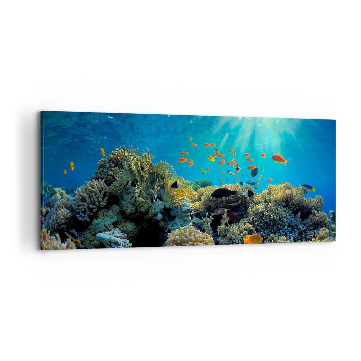 Cuadro sobre lienzo - Impresión de Imagen - Arrecife de coral con peces bajo los rayos del sol bajo el agua. - 120x50cm - Tesoros submarinos - Decoración de pared moderna para salón y dormitorio ARTTOR