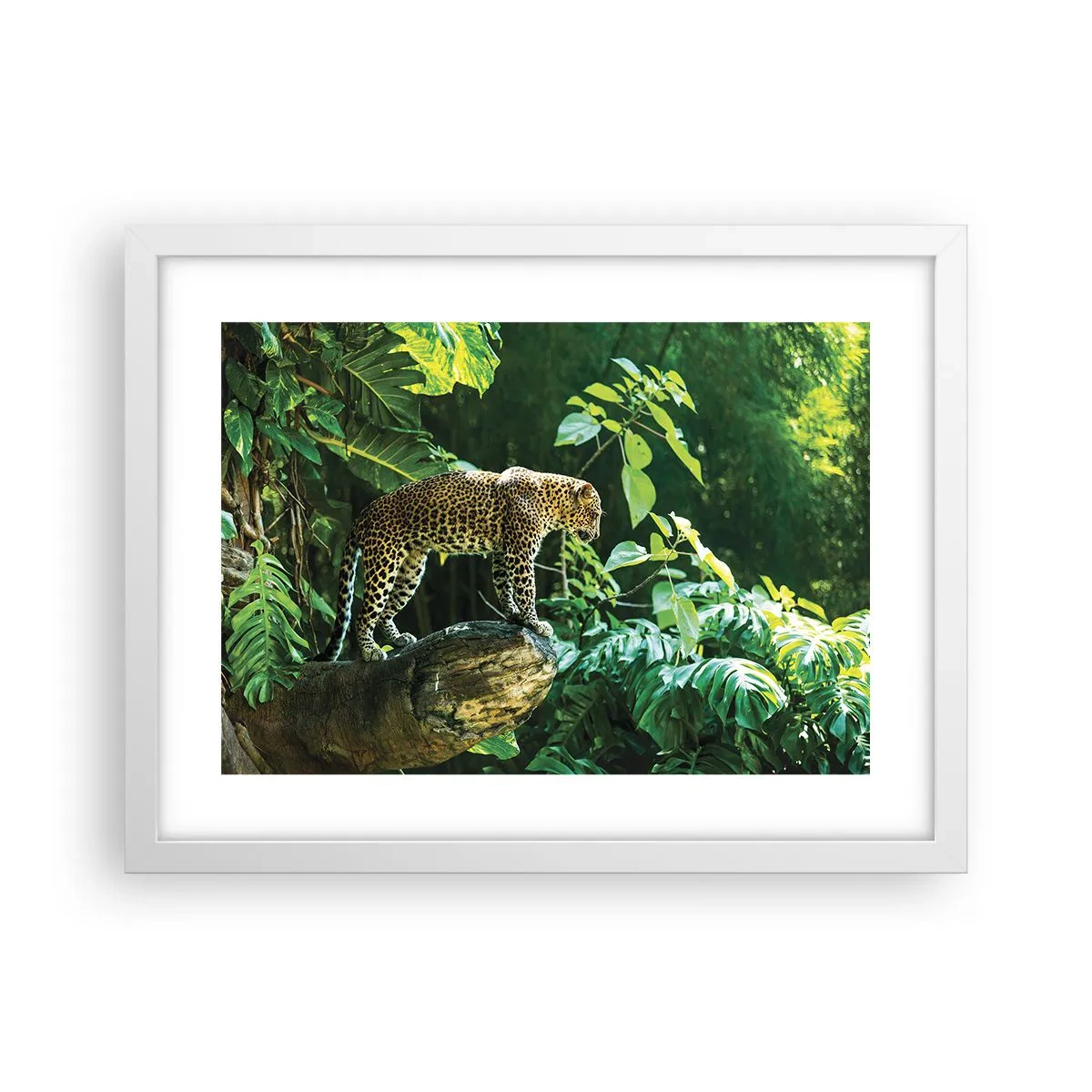 Póster en marco blanco - ¿A la caza? - 40x30 cm