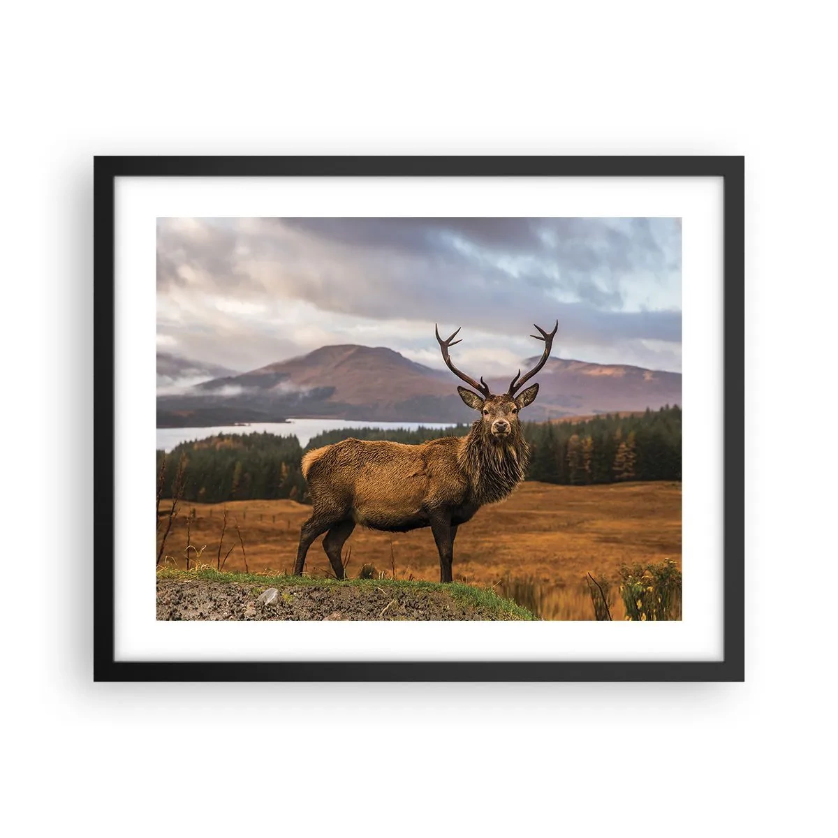 Póster en marco negro - La majestuosidad de la naturaleza - 50x40 cm