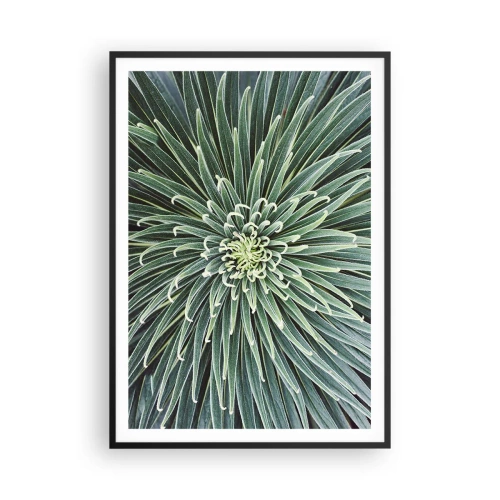 Póster en marco negro - El nacimiento de una estrella - 70x100 cm