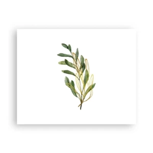 Póster - La vida se abre camino - 50x40 cm