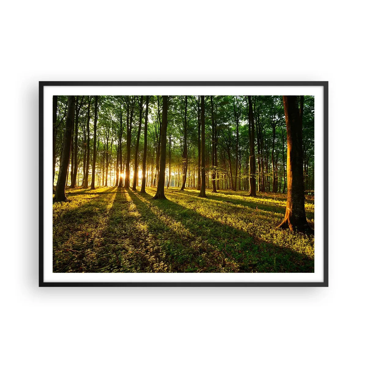 Póster en marco negro - El sol poniente en el bosque caducifolio - 100x70cm - Una fotografía de todos los manantiales - Decoración de pared moderna para salón y dormitorio ARTTOR