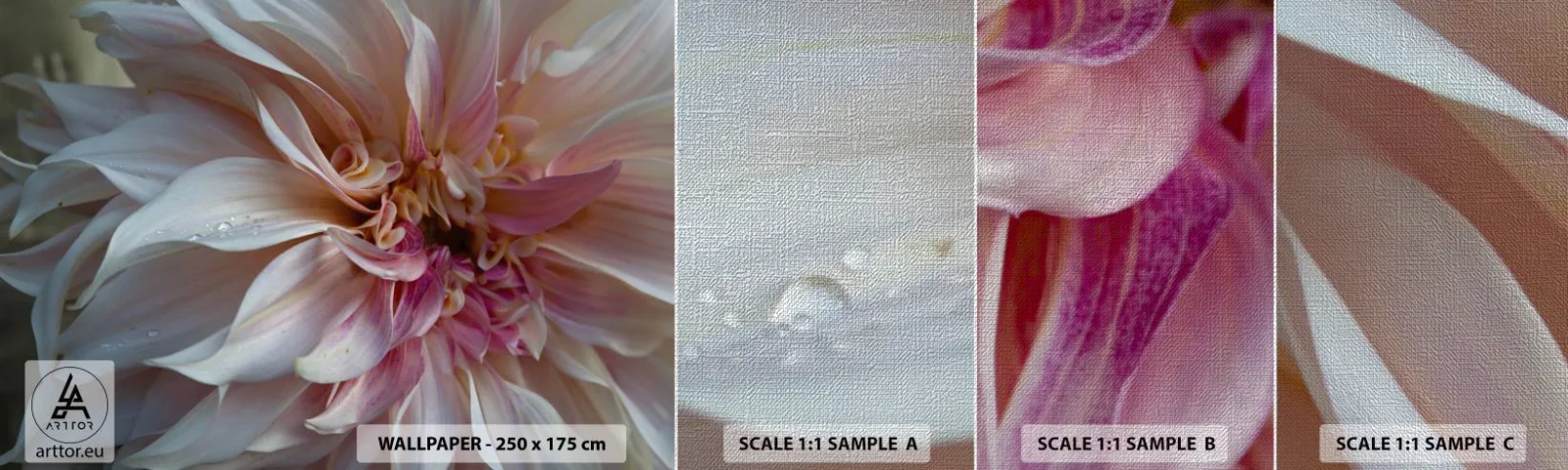 Muestra de fotomural Premium Canvas - Frescura floreciente - Flor, Dalia, Planta - 100x30 cm