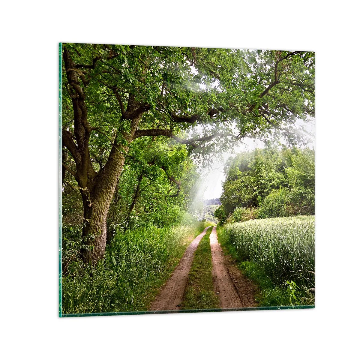 Cuadro sobre vidrio - Impresiones sobre Vidrio - Ensueño - 40x40 cm