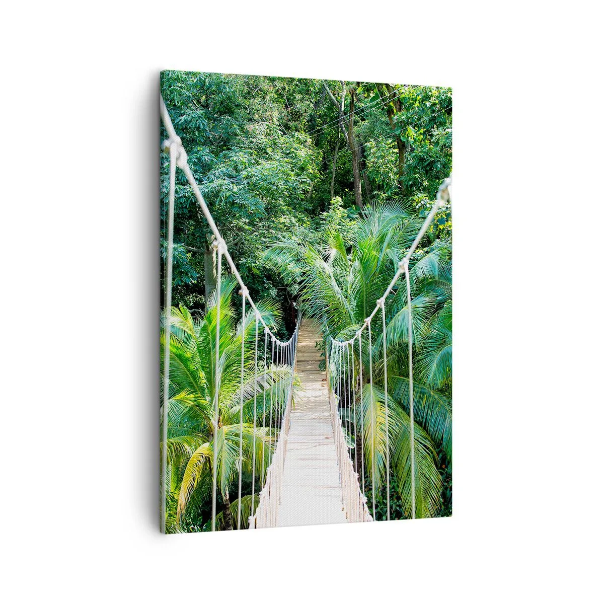 Cuadro sobre lienzo - Impresión de Imagen - Un puente colgante en una selva tropical llena de vegetación. - 50x70cm - ¡Bienvenido a la selva! - Decoración de pared moderna para salón y dormitorio ARTTOR