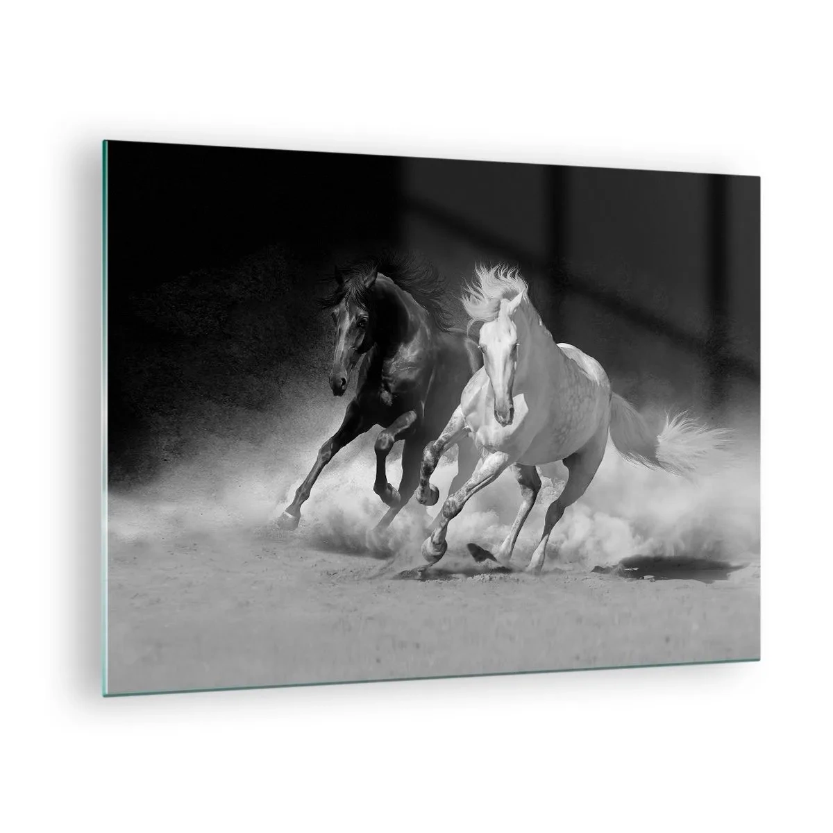 Cuadro sobre vidrio - Impresiones sobre Vidrio - Caballos corriendo en blanco y negro - 70x50cm - El galope de la libertad - Decoración de pared moderna para salón y dormitorio ARTTOR