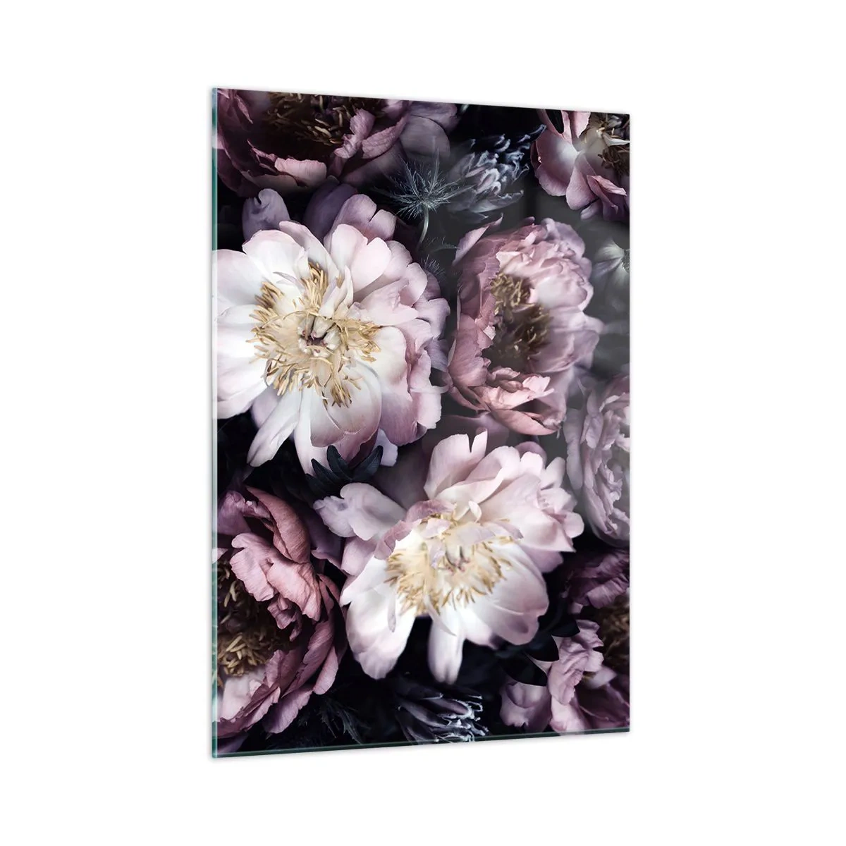 Cuadro sobre vidrio - Impresiones sobre Vidrio - Un romántico ramo de peonías en tonos púrpuras y rosas apagados. - 50x70cm - Un ramo a la antigua usanza - Decoración de pared moderna para salón y dormitorio ARTTOR