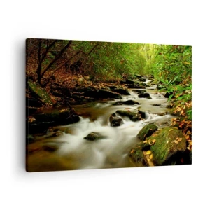 Cuadro sobre lienzo - Impresión de Imagen - Un arroyo forestal que fluye entre piedras rodeadas de vegetación. - 70x50cm - Como plata líquida - Decoración de pared moderna para salón y dormitorio ARTTOR