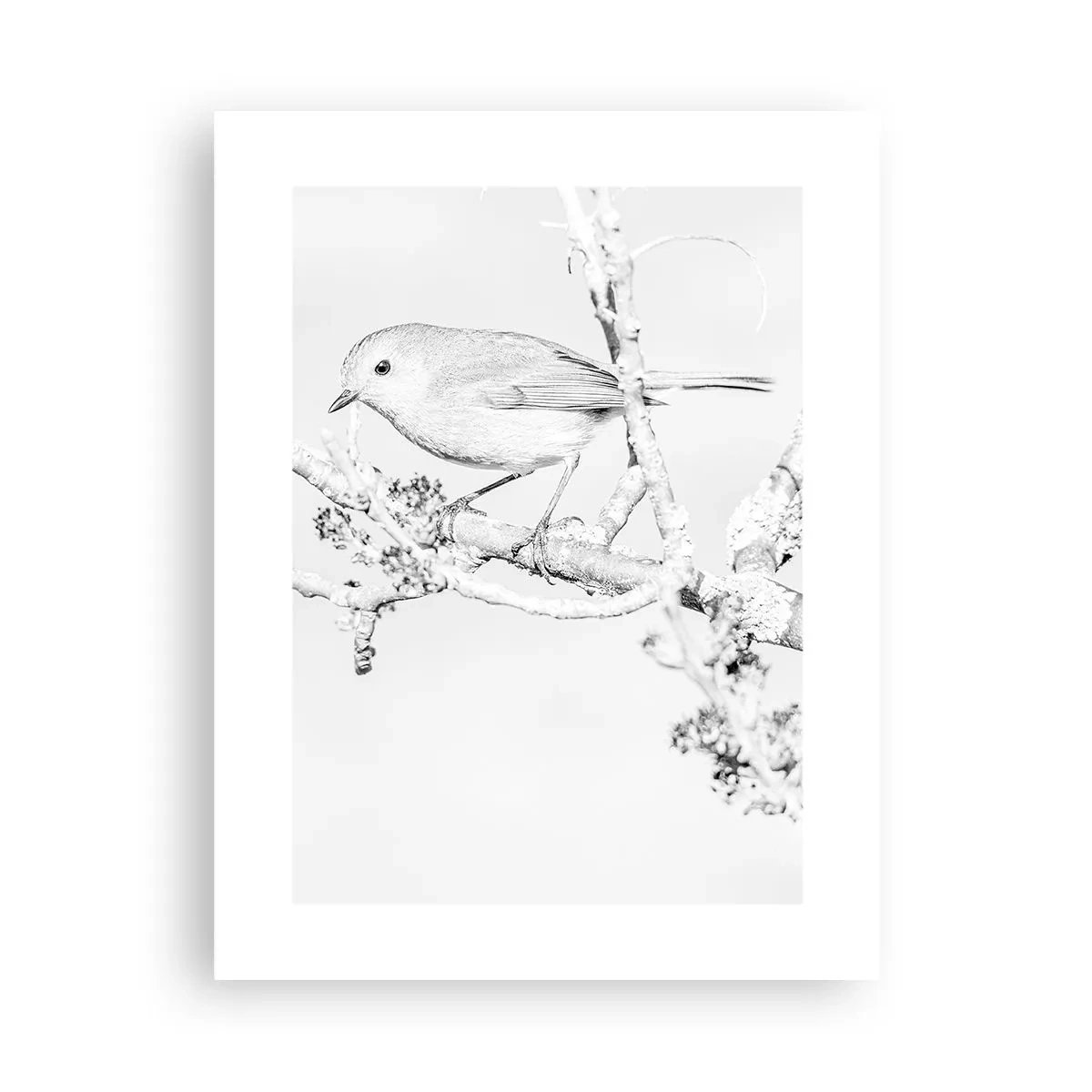 Póster - Mañana de invierno - 30x40 cm