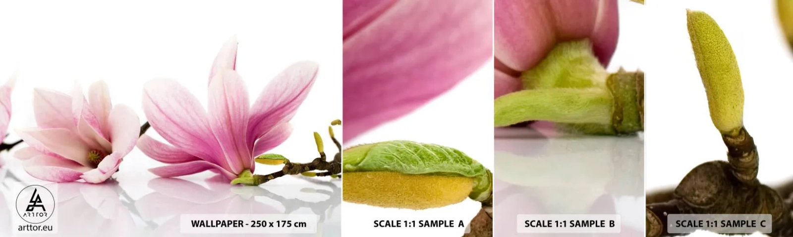 Muestra de fotomural autoadhesivo Deluxe Sticker - Suave como un soplo de primavera - Flor, Magnolia, Naturaleza - 100x30 cm