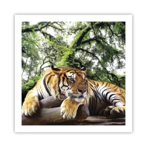 Póster - Atentamente - 60x60 cm