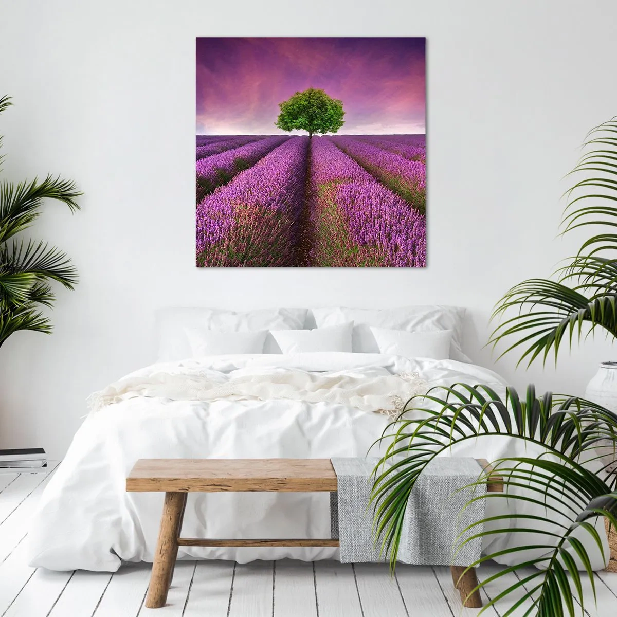 Cuadro sobre lienzo - Impresión de Imagen - En los campos de lavanda - 40x40 cm