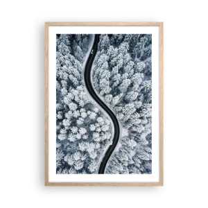 Póster en marco roble claro - A través de un bosque invernal - 50x70 cm