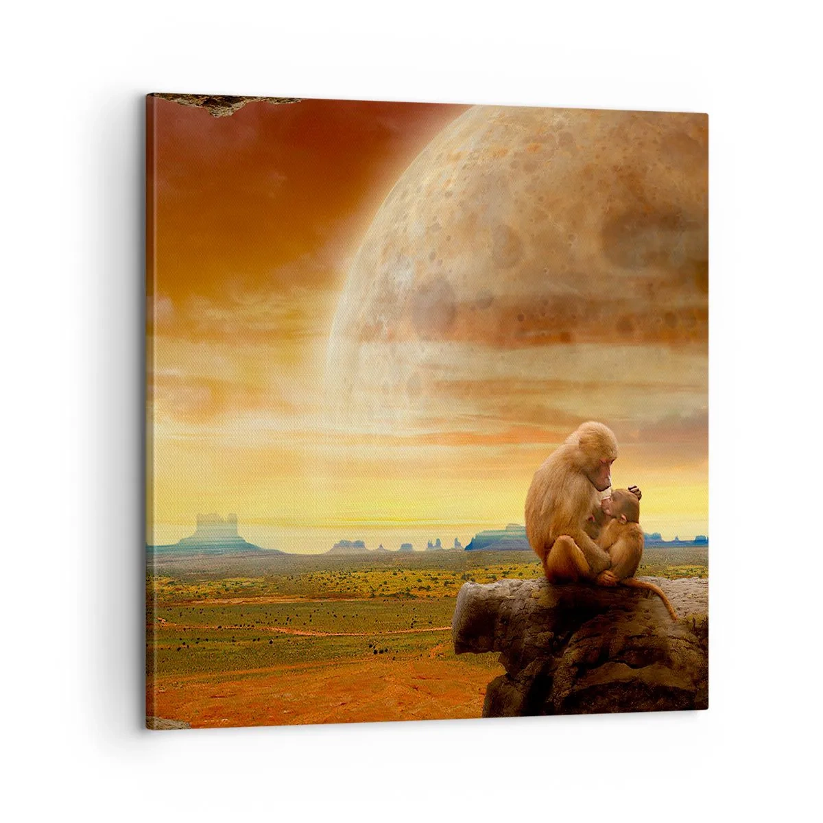 Cuadro sobre lienzo - Impresión de Imagen - El amor es igual en todas partes - 60x60 cm