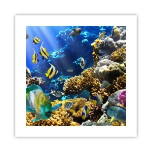 Póster - Vacaciones submarinas - 40x40 cm