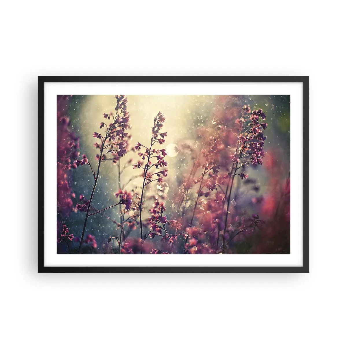 Póster en marco negro - Flores a la luz del sol con la naturaleza como telón de fondo - 70x50cm - Jardín secreto - Decoración de pared moderna para salón y dormitorio ARTTOR