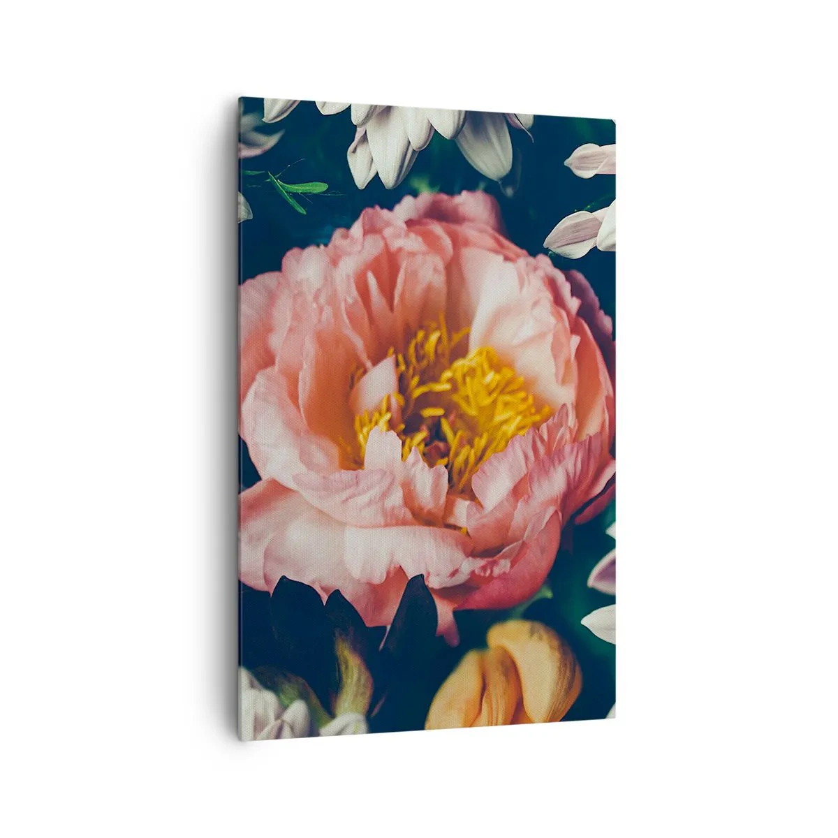 Cuadro sobre lienzo - Impresión de Imagen - Arreglo floral con peonías y crisantemos sobre fondo oscuro. - 80x120cm - Con esplendor barroco - Decoración de pared moderna para salón y dormitorio ARTTOR