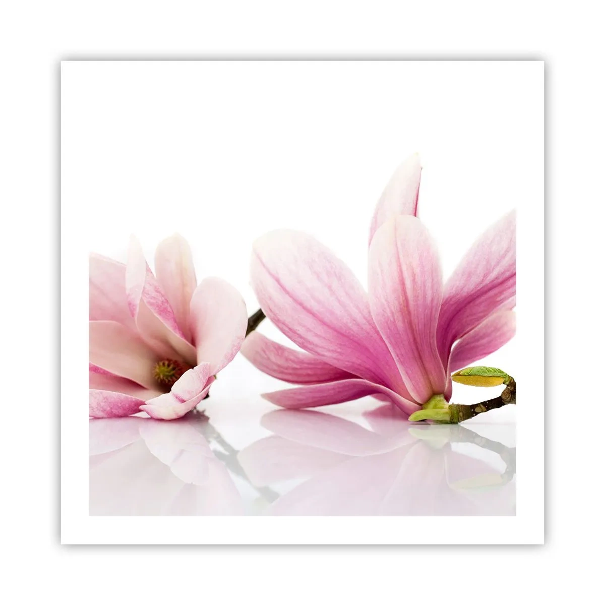 Póster - Suave como un soplo de primavera - 60x60 cm