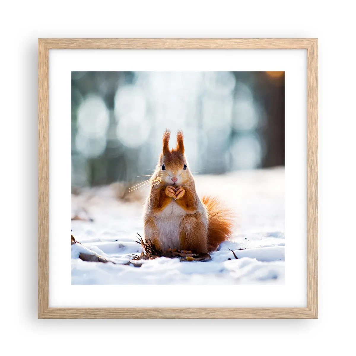 Póster en marco roble claro - ¿Qué estás mirando? - 40x40 cm