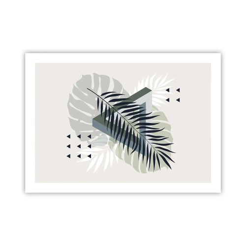Póster - Naturaleza y geometría - 70x50 cm