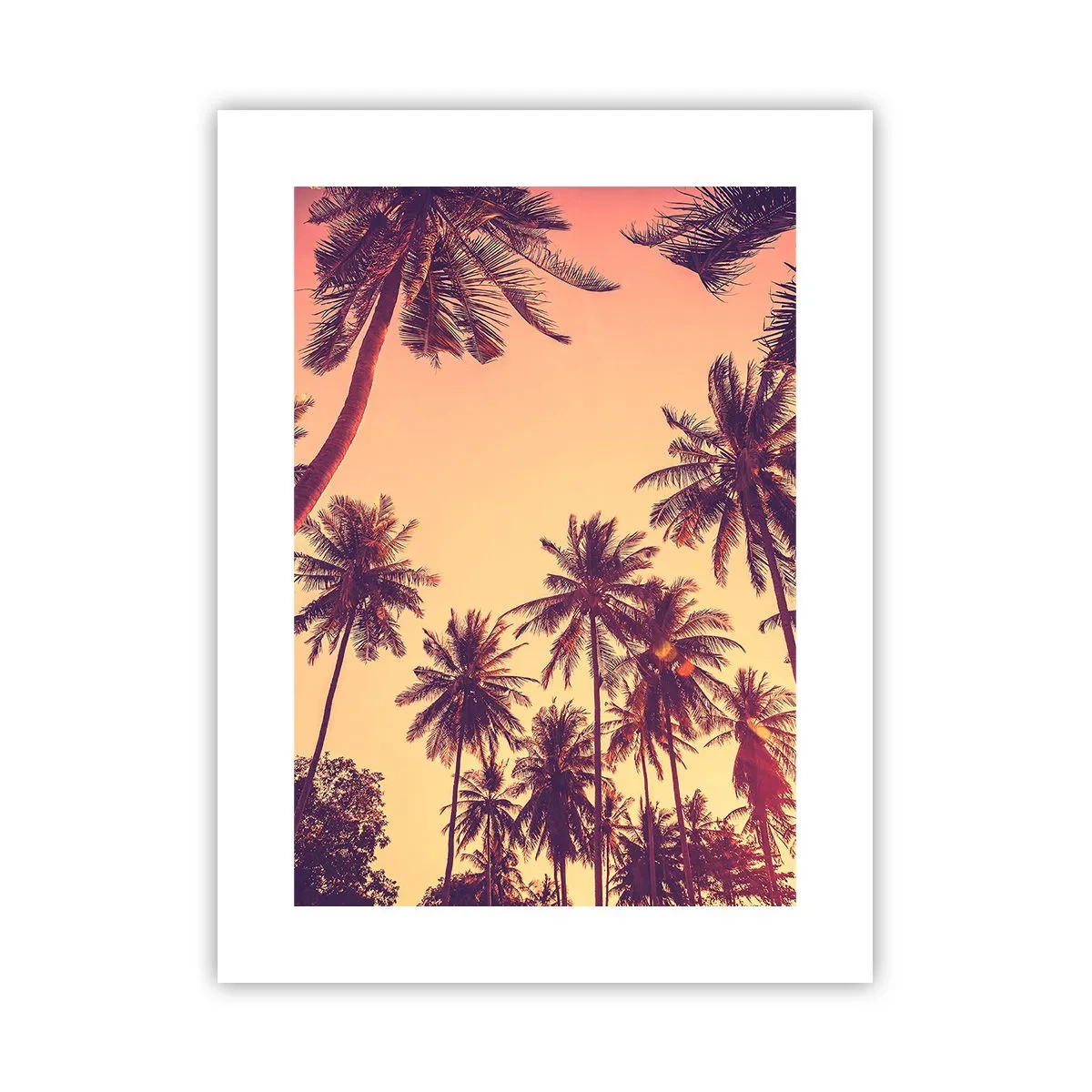 Póster - Variante tropical - 30x40 cm