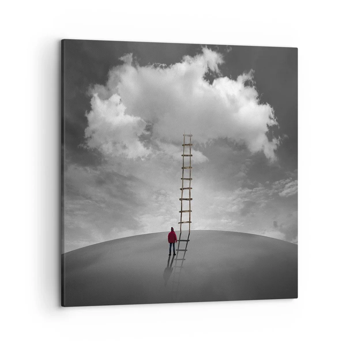 Cuadro sobre lienzo - Impresión de Imagen - Todo es posible - 50x50 cm