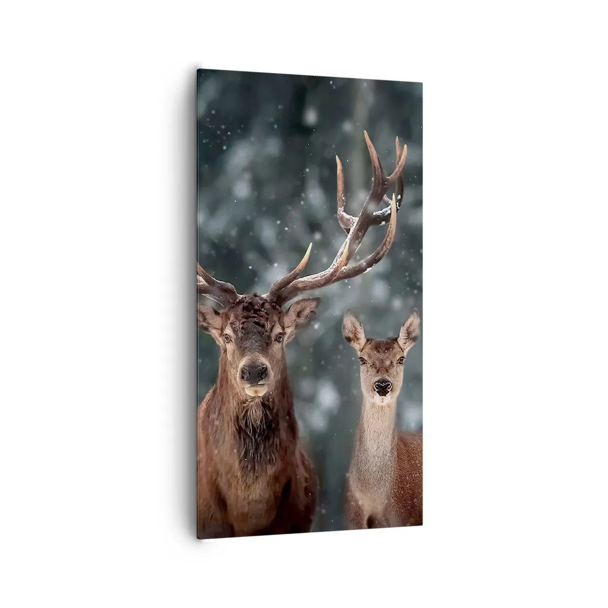 Cuadro sobre lienzo - Impresión de Imagen - El señor y la señora del bosque - 65x120 cm