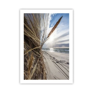 Póster - Playa con vistas al mar y césped al sol. - 50x70cm - Una reunión de los elementos - Decoración de pared moderna para salón y dormitorio ARTTOR