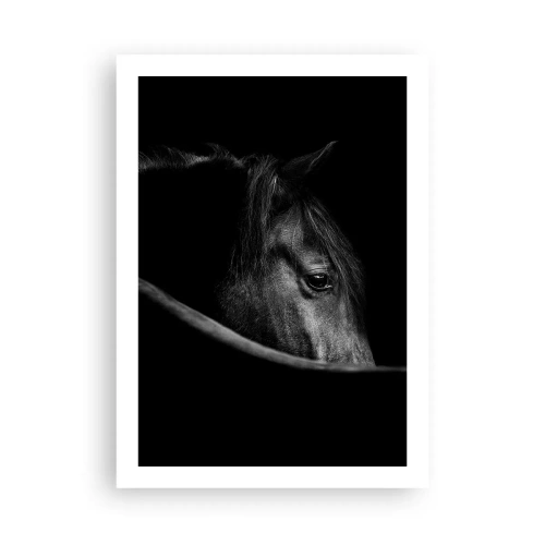Póster - Retrato en blanco y negro de un caballo con un enfoque artístico. - 50x70cm - Príncipe negro - Decoración de pared moderna para salón y dormitorio ARTTOR