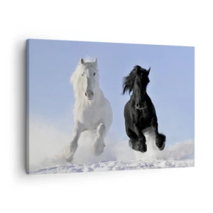 Cuadro sobre lienzo - Impresión de Imagen - Un caballo blanco y uno negro galopando por la nieve. - 70x50cm - Galope blanco y negro - Decoración de pared moderna para salón y dormitorio ARTTOR