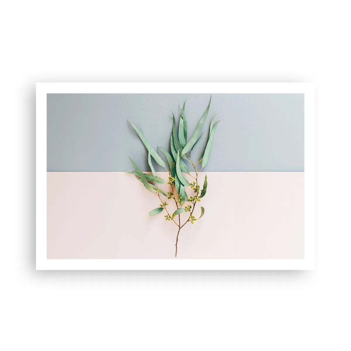 Póster - La sutileza del pastel - 91x61 cm