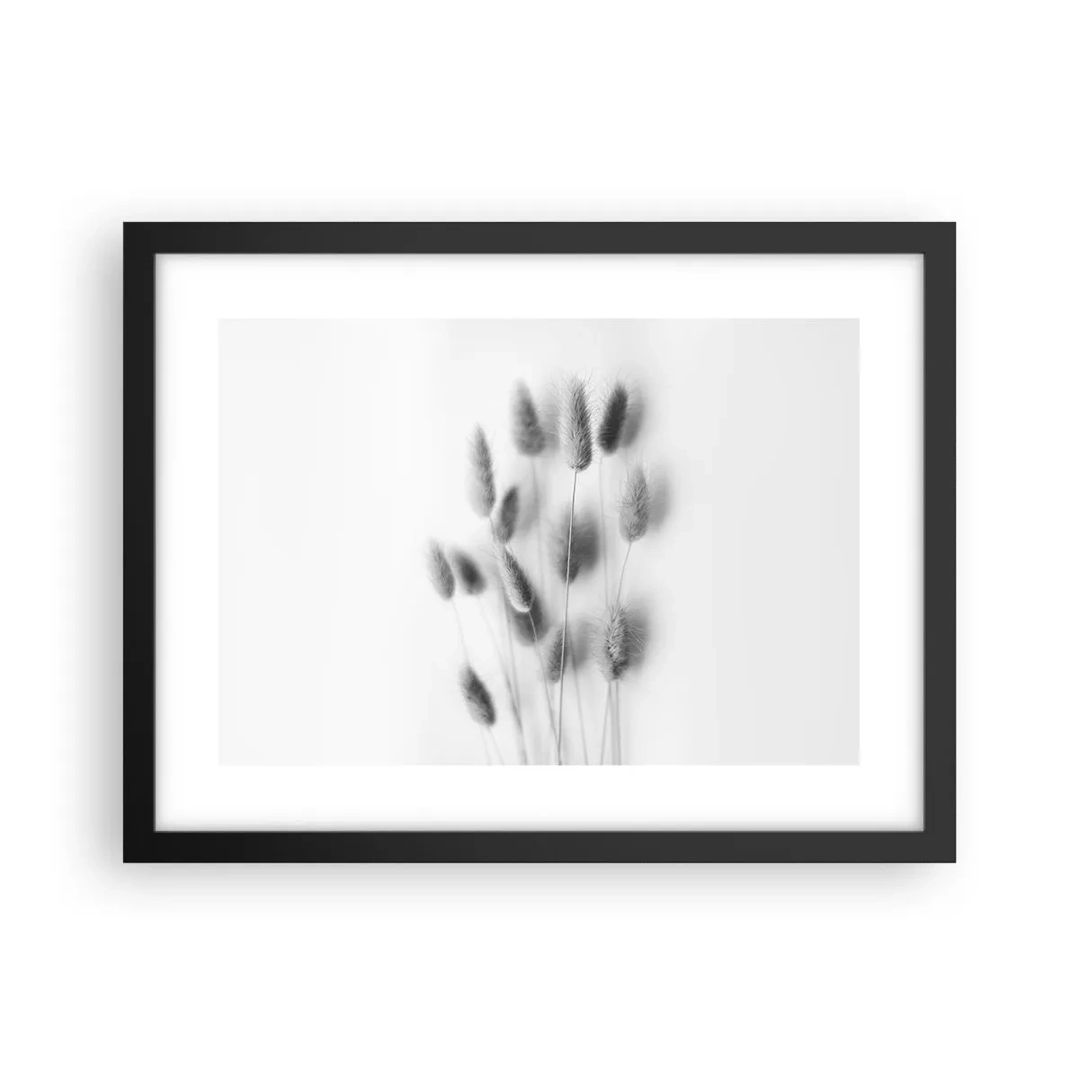 Póster en marco negro - Esponjas naturales - 40x30 cm