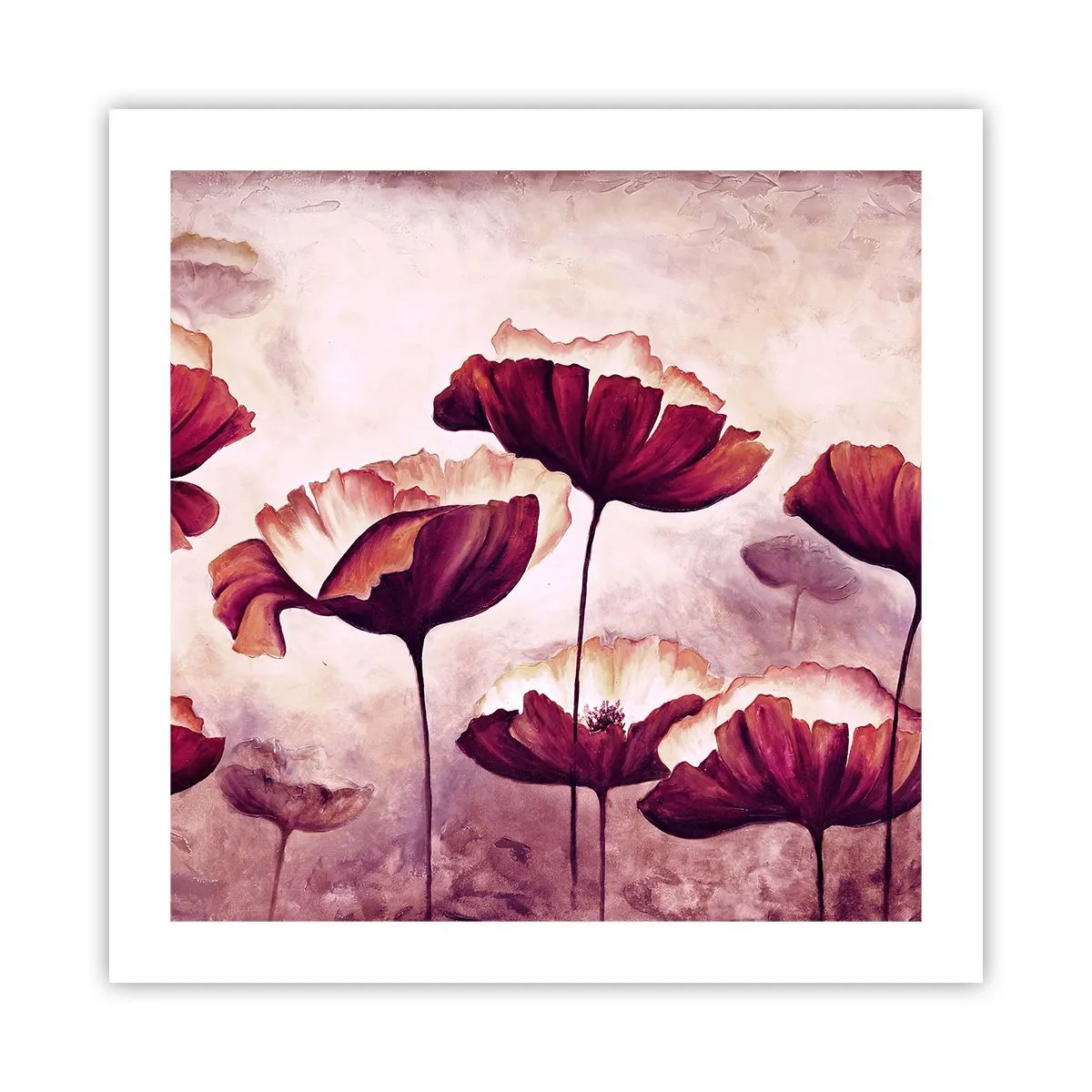 Póster - Pétalo rojo y blanco - 50x50 cm