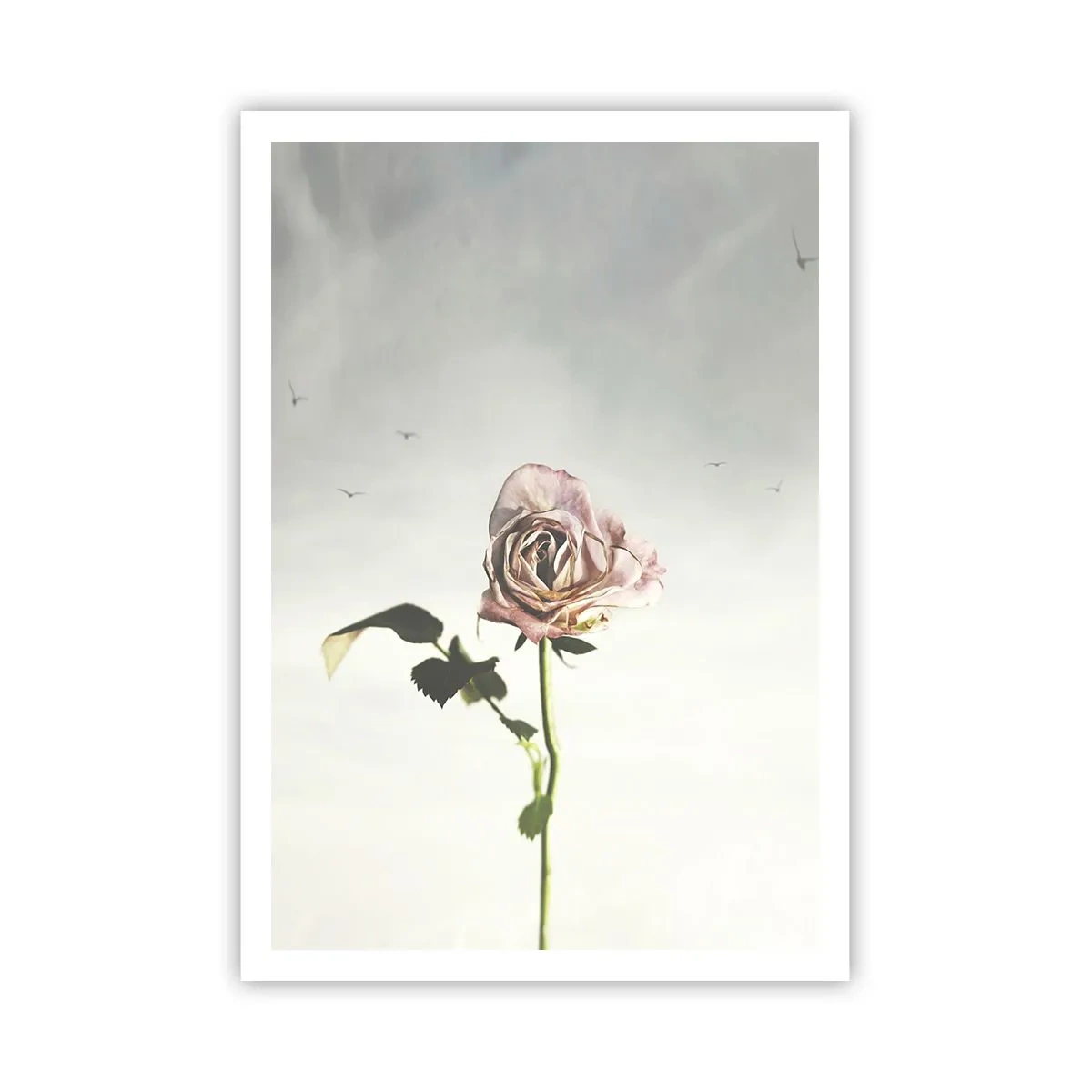 Póster - Bienvenida a la primavera - 70x100 cm