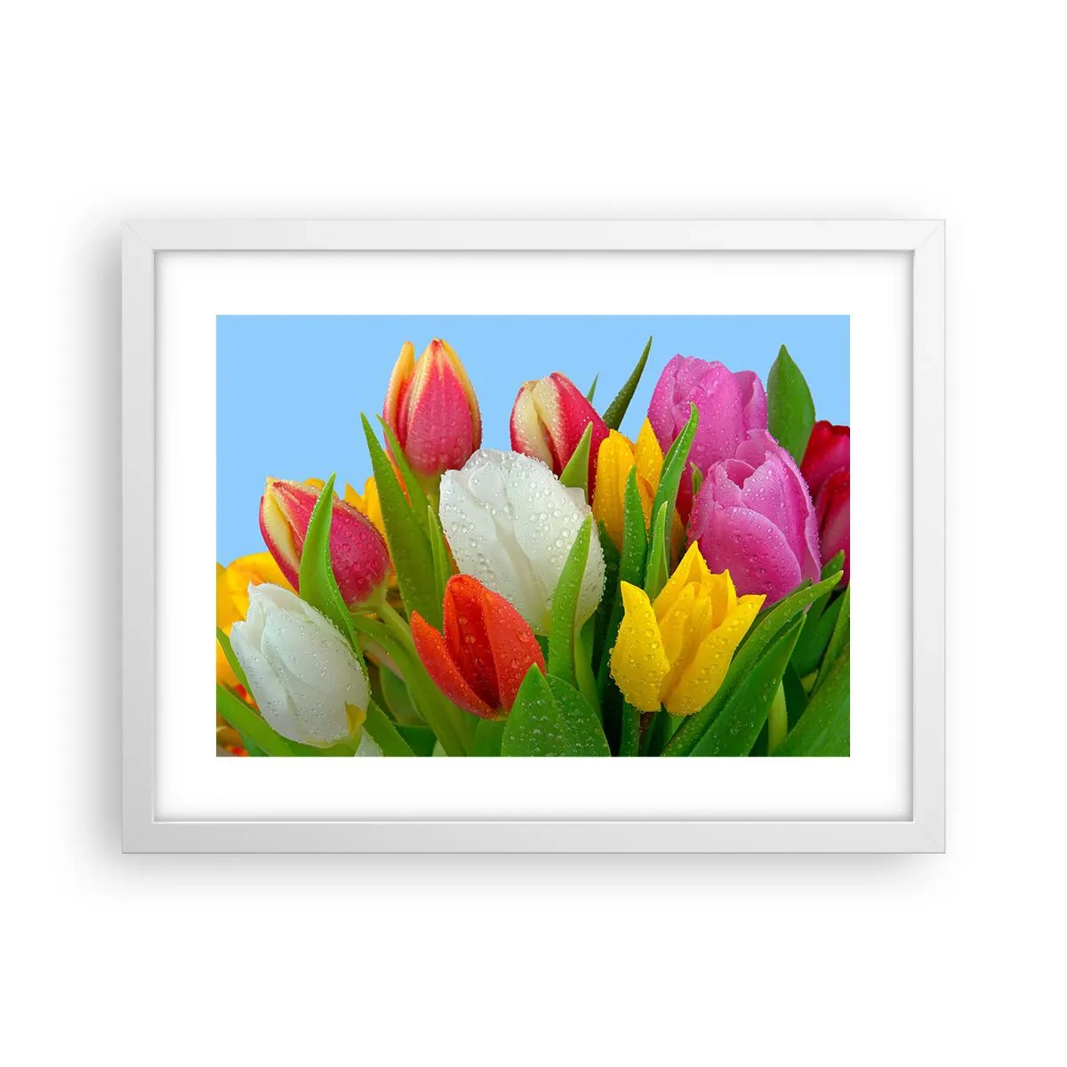 Póster en marco blanco - Arco iris floral en gotas de rocío - 40x30 cm