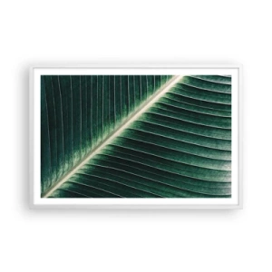 Póster en marco blanco - El ritmo de la naturaleza - 91x61 cm