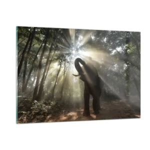 Cuadro sobre vidrio - Impresiones sobre Vidrio - Un elefante en un bosque iluminado por la luz del sol. - 120x80cm - Bajo una estrella de la suerte - Decoración de pared moderna para salón y dormitorio ARTTOR